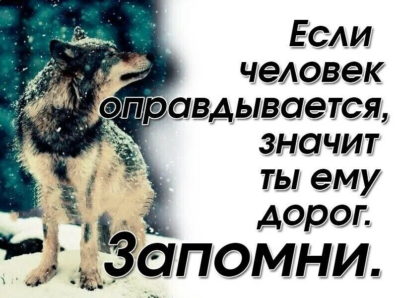 Оправдать это. Если человек оправдывается значит. Если человек дорог он оправдывается. Если человек оправдывается значит ты ему дорог. Если человек извиняется значит.