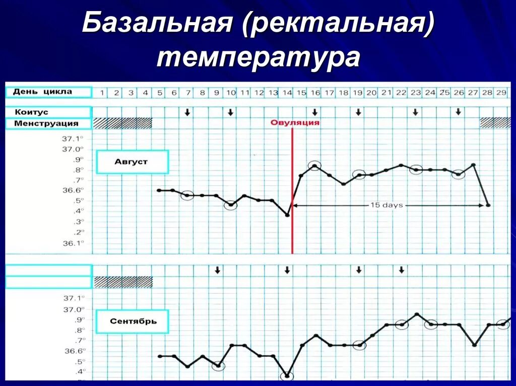 Базальная температура типы температурных кривых. График измерения базальной температуры в норме. Базальная ректальная температура. Базальная температура норма. Тест базальной температуры