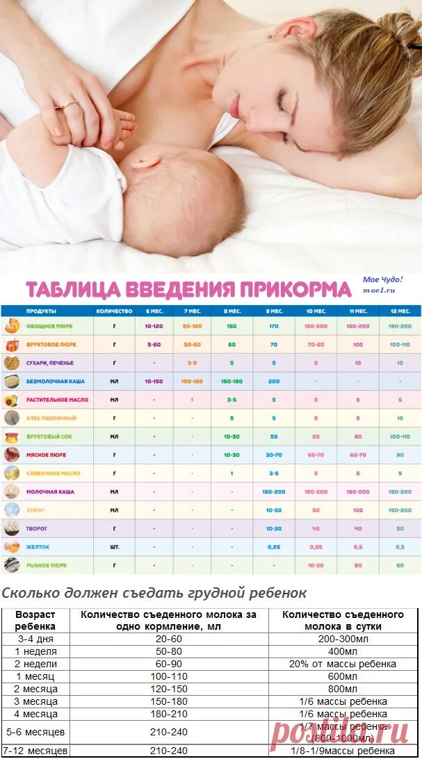 Сколько по времени кормить грудного. Грудное вскармливание новорожденных. Период кормления грудного ребенка. Сколько минут кормить грудью новорожденного. Продолжительность кормления новорожденного.