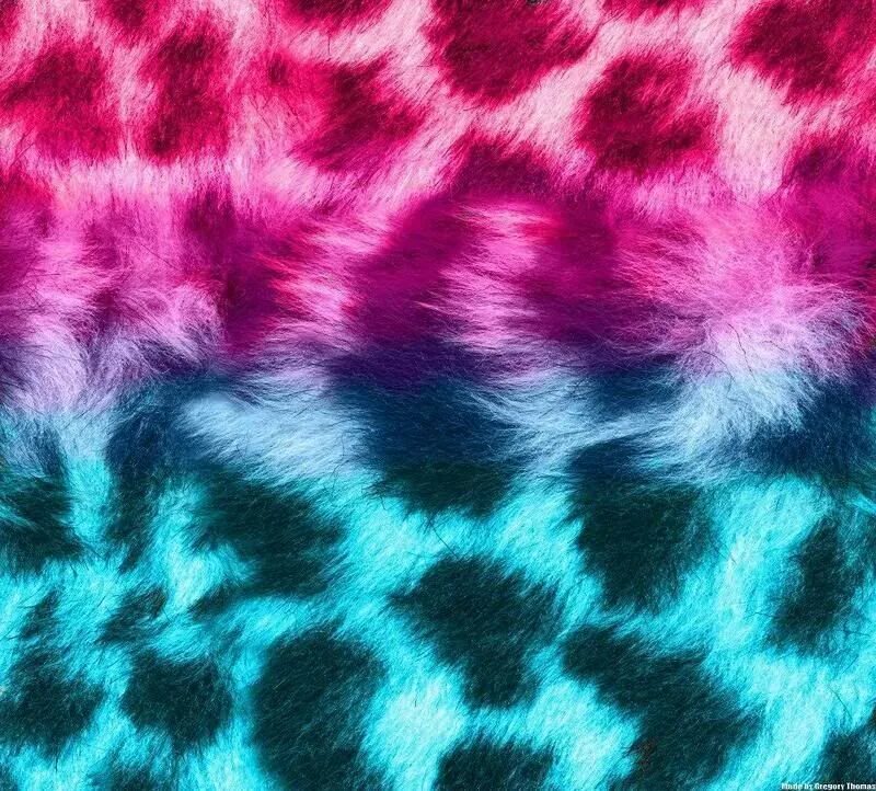 Cat texture