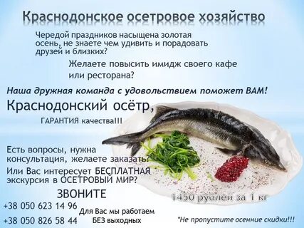 Осетровое хозяйство бизнес план