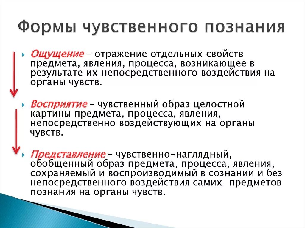 Чувственное познание ощущение восприятие