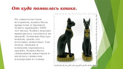 Изложение кошка была приручена в древнем египте