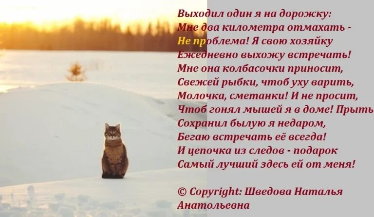 Чемодан коты. Присядем на дорожку. Человек сидит на чемодане. Присесть на дорожку. Сижу на чемоданах.