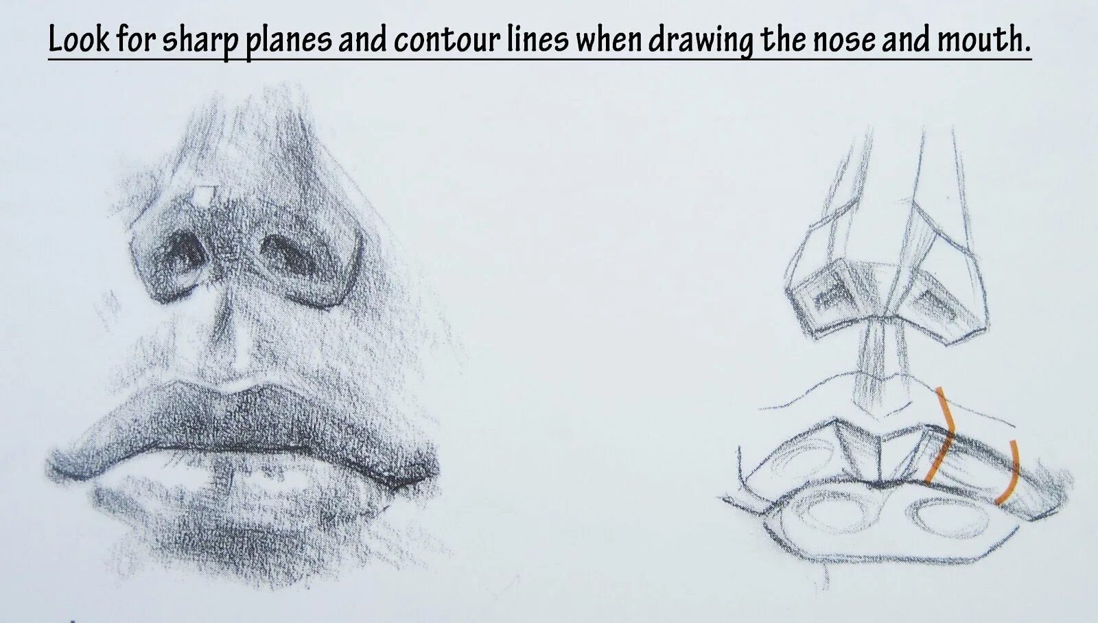 Поэтапно нос снизу. Нос снизу рисунок. Рисование носа снизу. Нос в анфас рисунок.