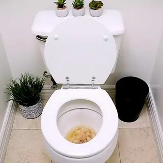 Зачем унитаз