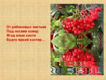 Песня рябиновые бусы сорока минус