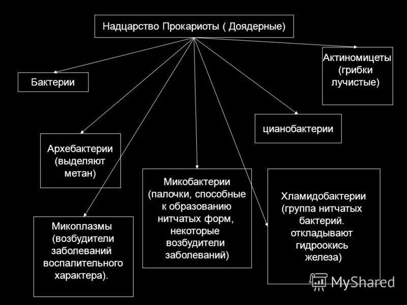 Бактерии выделяют метан