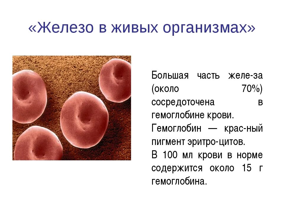 Железы живых организмов. Железо в живых организмах. Роль железа в живых организмах. Железо в эритроцитах. Эритроциты гемоглобин железо.