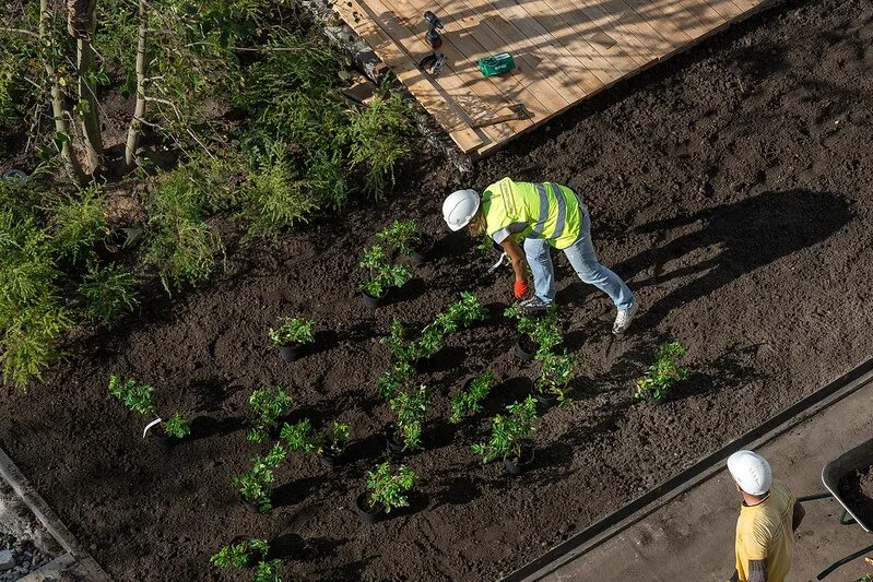 Городская дорога. Уборка улиц ижевска. Озеленение двора. Эксплуатация городских территорий. Проект придомовой территории.