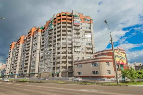Белика 5 чита
