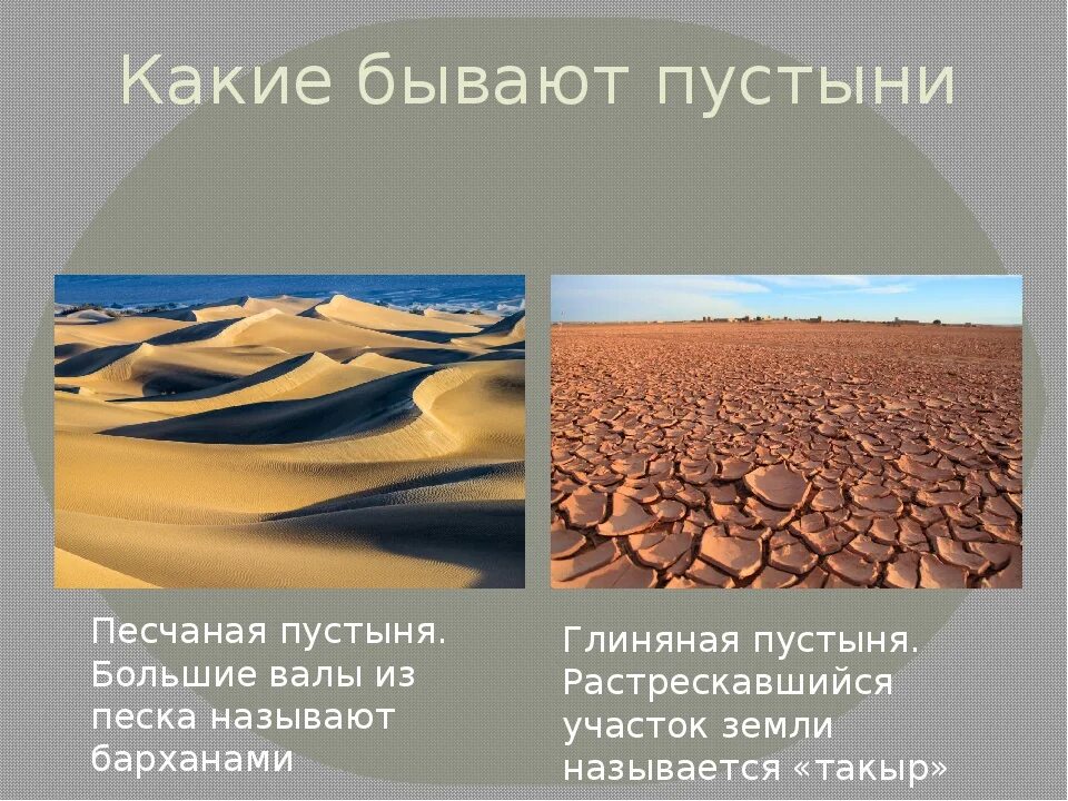 Имена пустыни. Какие бывают парустини. какие бывают пустыни. пустыни бывают песчаные и. пустыни песчаные и глинистые.