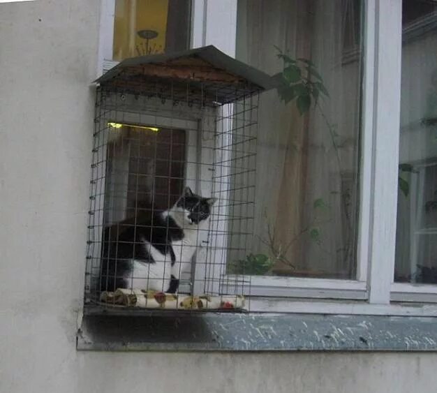 Балкон для кошек купить. Балкончик антикошка. Клетка антикошка. Балкон для кошек. Кошачий балкончик на окно.