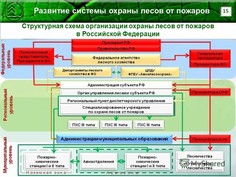 должностные лица лесной охраны