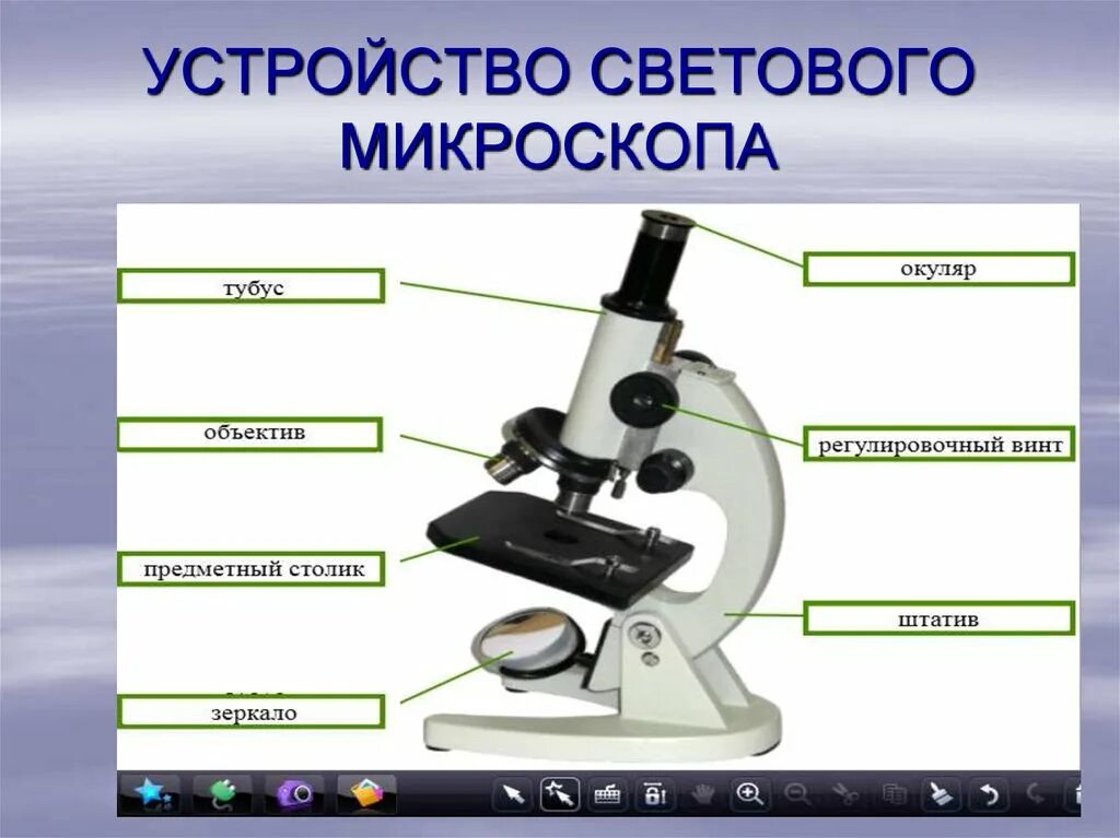 Цифровой микроскоп строение с подписями и названиями. Микроскоп строение микроскопа. Световой микроскоп строение. Строение микроскопа макровинт. Строение микроскопа 6 класс.