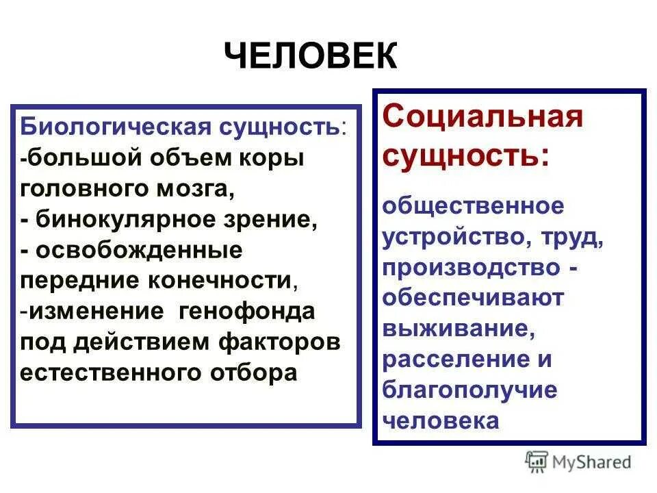 К биологической природе человека относятся. Социальная сторона биосоциальной сущности человека. Биологическая сущность человека. Человек биологическое и социальное существо. Человек это социально биологическое существо.