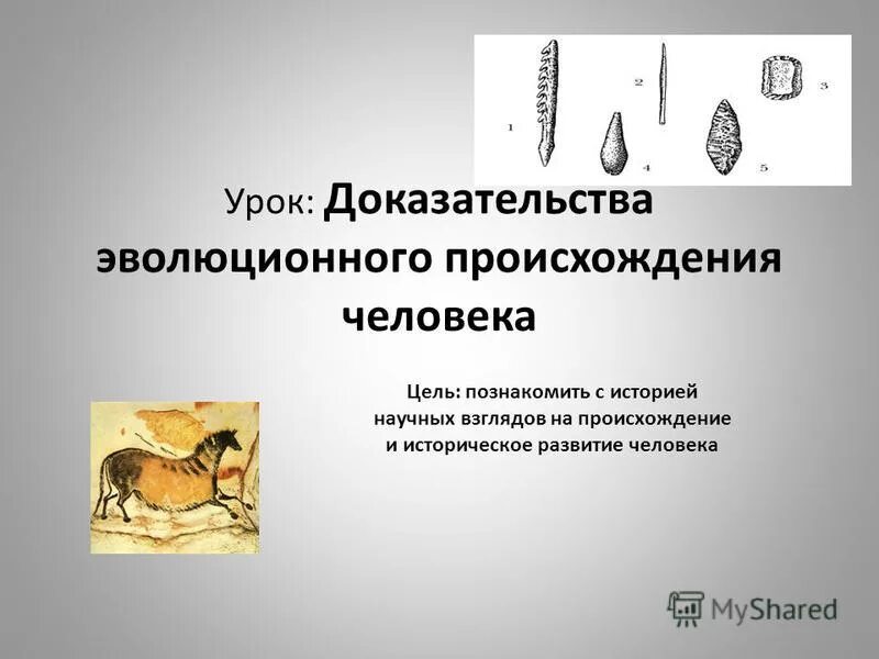 эволюция человека доказательства происхождения