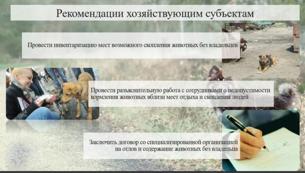 Как описать реализацию проекта: найдено 87 изображений