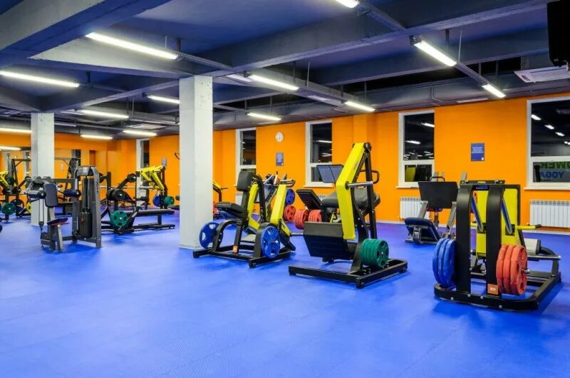 Красная линия ставрополь алекс фитнес. Красная линия ставрополь алекс фитнес. Алекс фитнес ставрополь. Алекс фитнес ставрополь. Ленина 381.