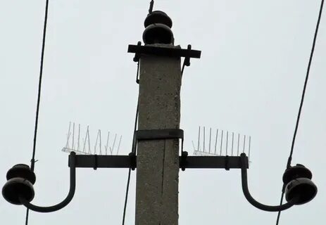 Птицезащитные устройства 10кв