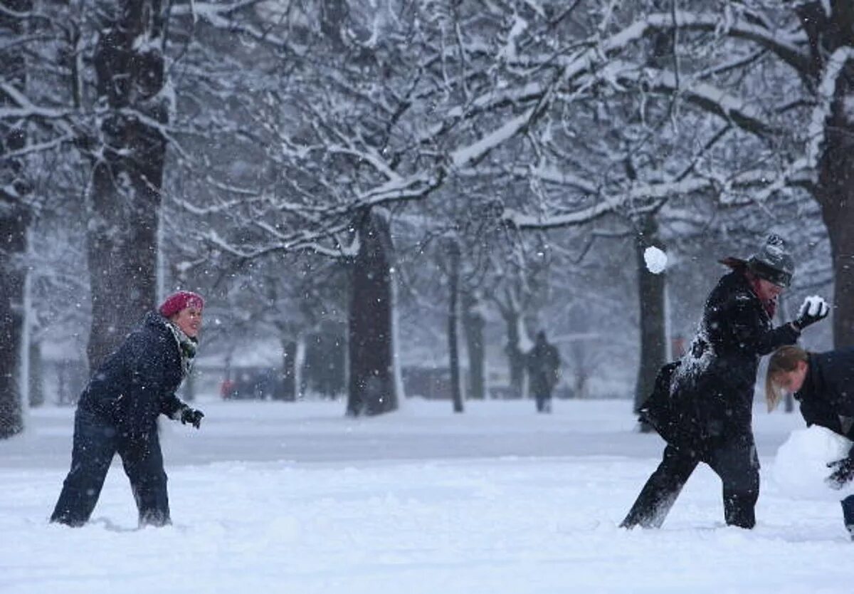 Кидались снежками. Throwing Snowballs. Snow Throw видео. It is snowing. It's snowing today картинки.