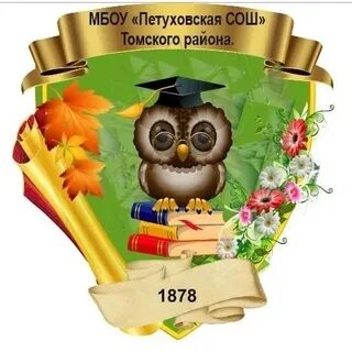 Мбоу томская сош