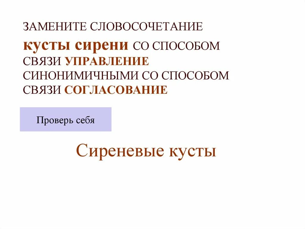 Заменить словосочетание стального цвета на управление. Куст сирени вид связи в словосочетании. Замена согласования на управление. Словосочетание музыкальные занятия в управление. Куст сирени согласование примыкание.