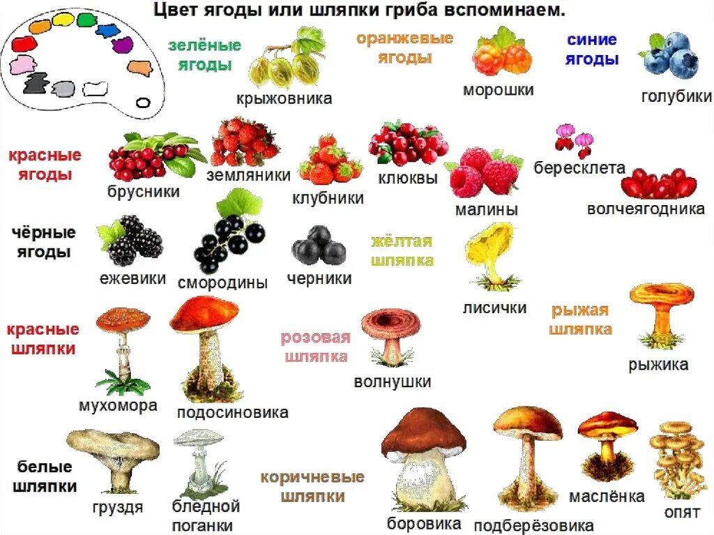 Какие есть грибы несъедобные. Грибы съедобные несъедобные и ядовитые. Съедобные грибы несъедобные грибы ядовитые. Грибы съедобные и ядовитые Заголовок. Таблица съедобных и несъедобных грибов и ягод.