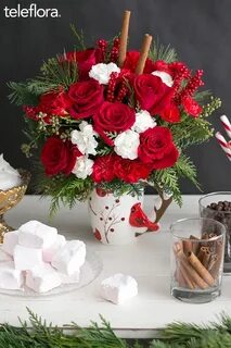 Arrange holidays