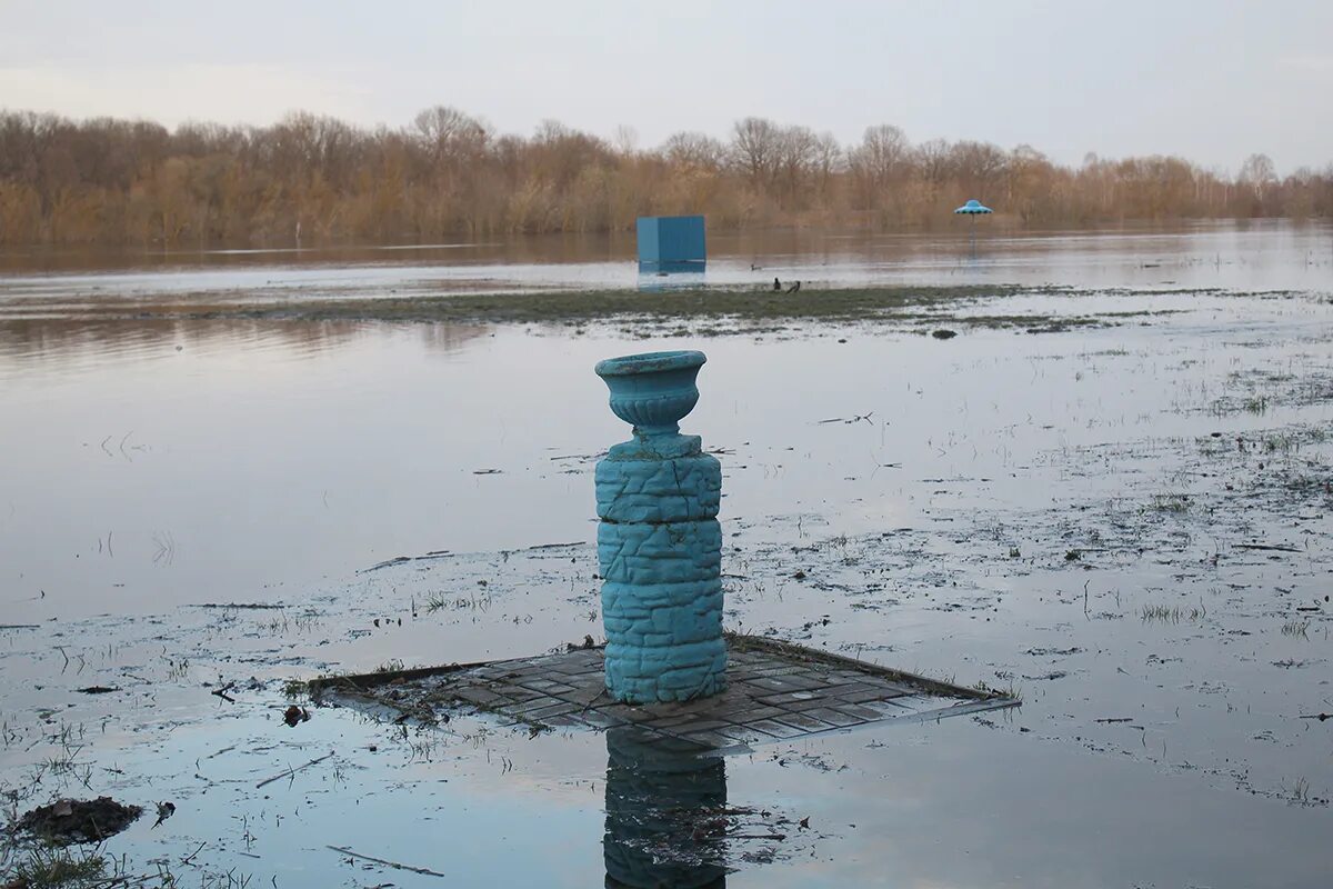 Днепр загрязнение. Загрязнения СОЖ. Уровень воды в реке СОЖ. Исследование вод реки Днепр. Уровень воды в реке днепр лоев сегодня