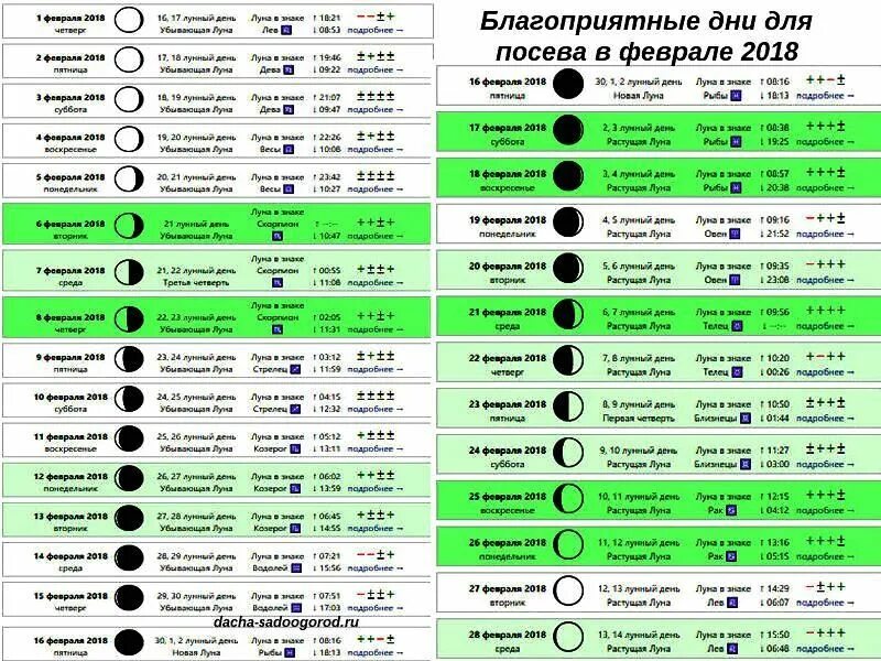 Лунный календарь для петунии Рассада в марте . Что пора сажать в марте 2022. Особенности мартовской посадки о