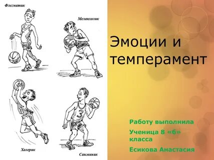 8 темперамент