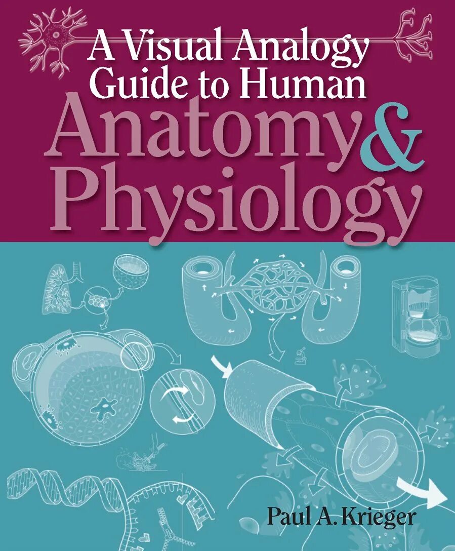 Guide to
