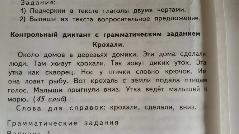 Диктант подчеркните слова. Диктант 2 класс безударная гласная в корне. Диктант 2 класс. Диктант с заданиями. Задание выпиши из текста.