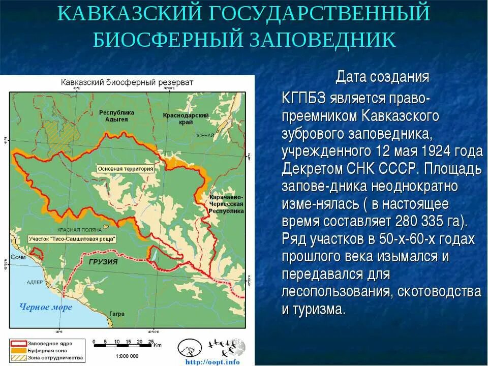 доклад зачем нужны заповедники. тунгусский заповедник презентация. почему заповедник называют заповедник. заповедники россии. зачем нужны заповедники.
