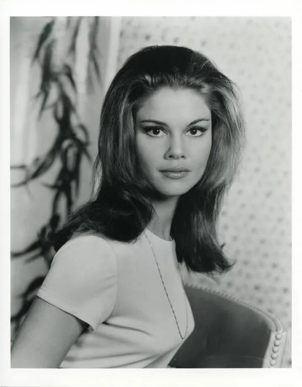 Wagner композитор. Bruce lee green hornet. Wagner actress. Венде вагнер. Апгнер.