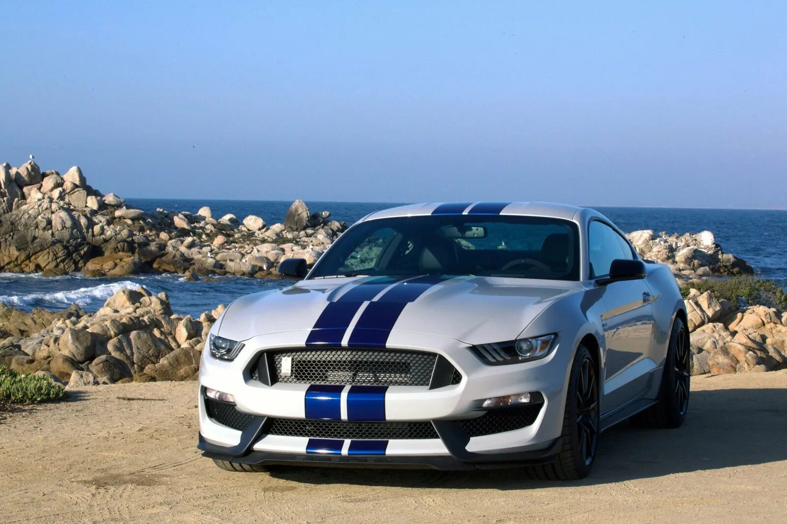 Mustang shelby gt. Форд Мустанг Shelby gt350. Ford Mustang Shelby gt350 2015. Форд Мустанг gt 350. Ford Mustang Shelby gt350r 2016.