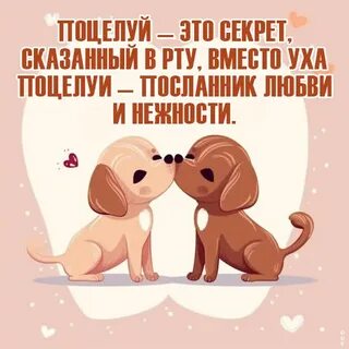 Сколько поцелуев в день