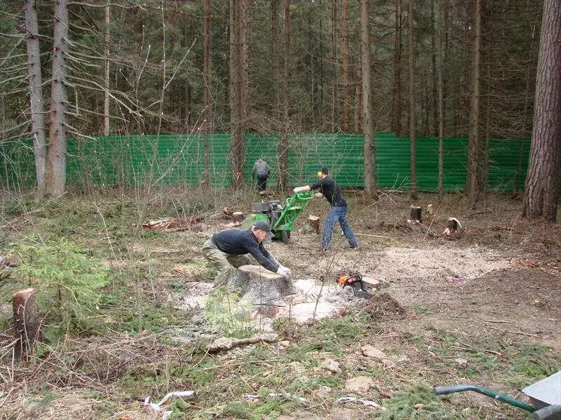 Сколько стоит убрать участок. Уборка участка. Спил деревьев расчистка участка. Вырубка деревьев на участке. Уборка участка от деревьев и кустарников.