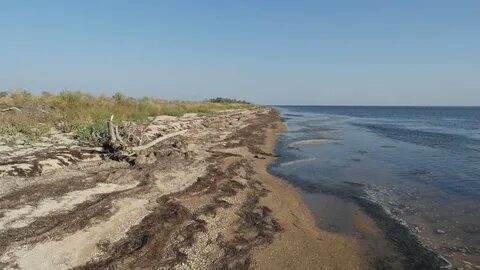 Погода ясенской краснодарский край