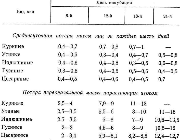 Как ухаживать за инкубатором. Таблица вывода гусят в инкубаторе Несушка. Таблица для гусиных яиц в инкубаторе. Таблица вывода индюшат в инкубаторе. Таблица выведения индюшат в инкубаторе.