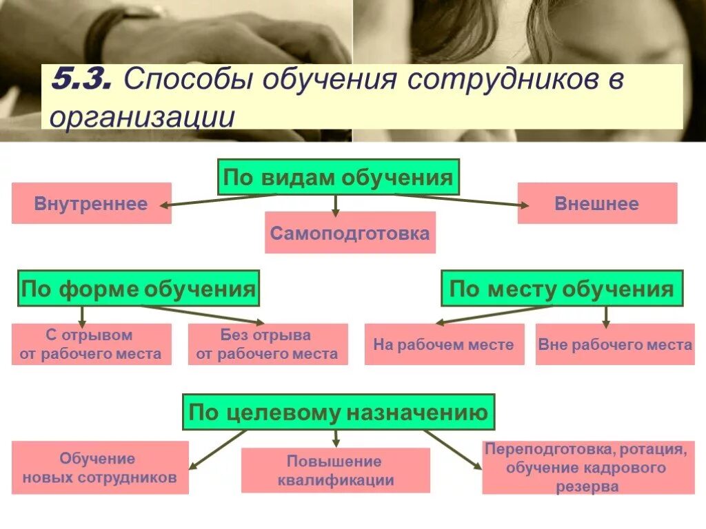 Процесс организации обучения персонала. Система организации обучения персонала на предприятии. Виды обучения персонала. Обучение персонала в организации. Виды и методы обучения персонала.