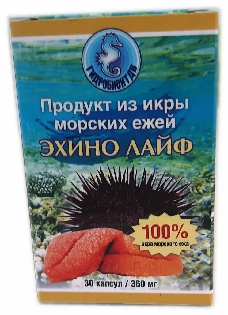 вытяжка морского ежа. икра морского ежа свойства. ежовая икра. лекарства на основе икры морского ежа. вытяжка морского ежа.