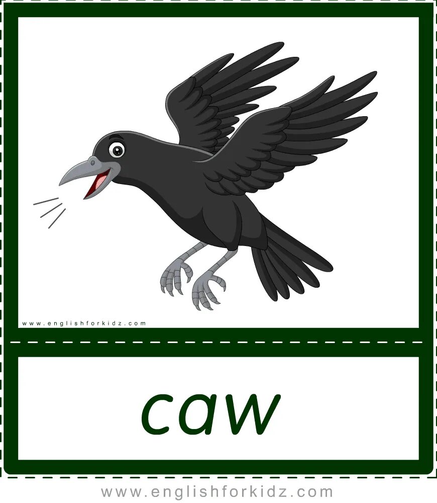 Crow Flashcards. CAW CAW. Crow Flashcard. CAW Flashcards.