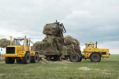 Поселок кировец