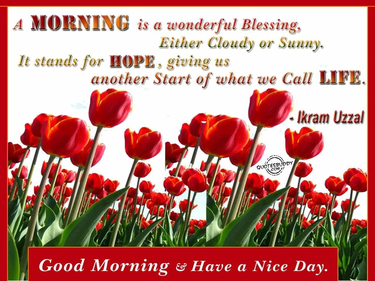 Make this day good. Good morning and wonderful Day. Открытки wonderful Day. Good morning have a wonderful Day. Have a wonderful Day картинки.