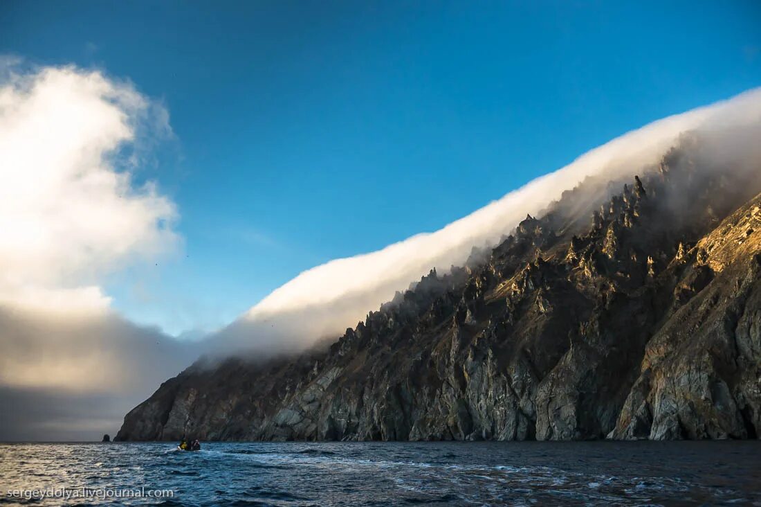 остров врангеля самый. остров врангеля самый. остров врангеля заповедник. остров врангеля заповедник. остров врангеля ландшафт.