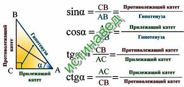 Тангенс это отношение синуса к косинусу. Синус косинус тангенс прилежащий. Соотношение сторон синус косинус тангенс. Синус это отношение противолежащего катета. Треугольник stk синус