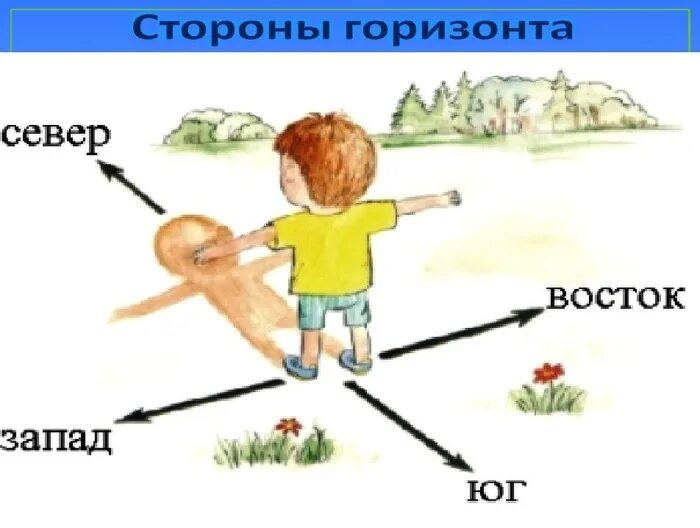 Рисунок стороны горизонта 2 класс окружающий мир