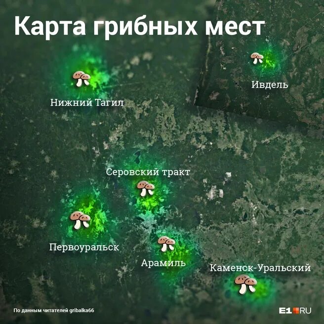 Грибная карта подмосковья. Грибные места кыргызстана. Грибные места в нурме. Грибные места подмосковья на карте. Грибные места в подмосковье 2022 на карте.